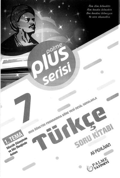 PLUS SERİSİ TÜRKÇE SORU KİTABI Fotokopi GO - Tüm Sınavlarda Daha İleriye