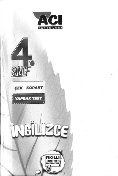 İNGİLİZCE