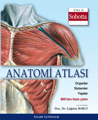 Anatomi Atlası (Sobotta Çizimleri) Palme Yayıncılık Fotokopi GO - Tüm Sınavlarda Daha İleriye