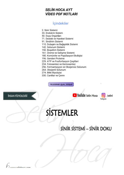 SELİN HOCA AYT