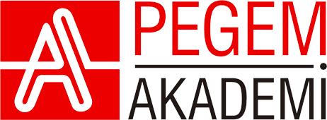 PEGEM AKADEMİ Logo Fotokopi GO - Tüm Sınavlarda Daha İleriye
